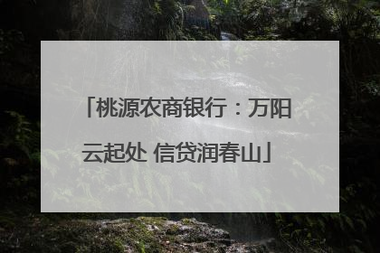 桃源农商银行：万阳云起处 信贷润春山