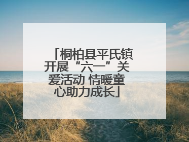 桐柏县平氏镇开展“六一”关爱活动 情暖童心助力成长