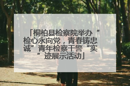 桐柏县检察院举办“检心永向党，青春铸忠诚”青年检察干警“实”迹展示活动