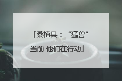 桑植县：“猛兽”当前 他们在行动