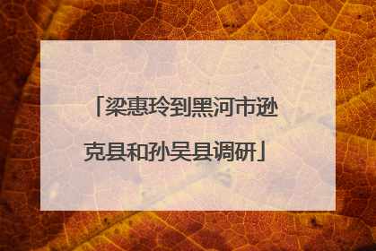 梁惠玲到黑河市逊克县和孙吴县调研