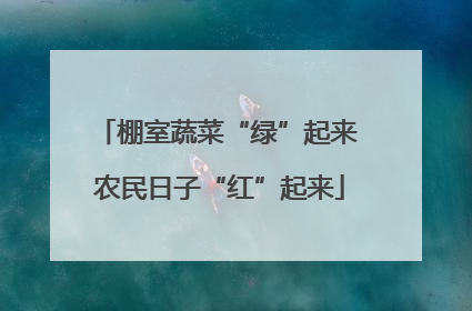 棚室蔬菜“绿”起来 农民日子“红”起来