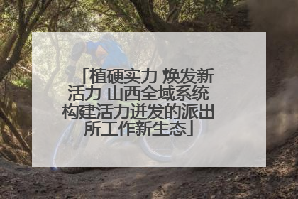 植硬实力 焕发新活力 山西全域系统构建活力迸发的派出所工作新生态
