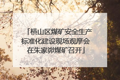 横山区煤矿安全生产标准化建设现场观摩会在朱家峁煤矿召开