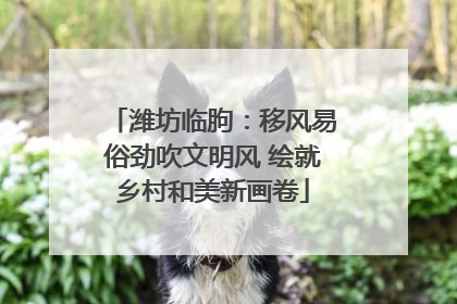 潍坊临朐：移风易俗劲吹文明风 绘就乡村和美新画卷