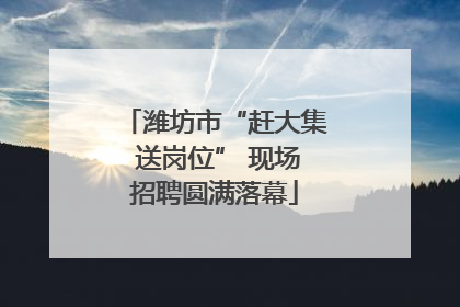潍坊市“赶大集 送岗位” 现场招聘圆满落幕