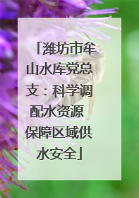潍坊市牟山水库党总支：科学调配水资源 保障区域供水安全