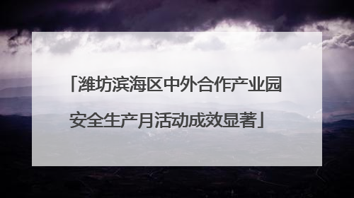 潍坊滨海区中外合作产业园安全生产月活动成效显著