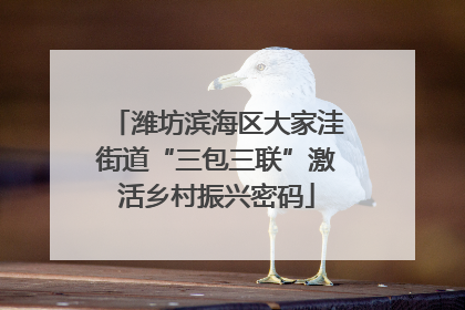 潍坊滨海区大家洼街道“三包三联”激活乡村振兴密码