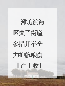潍坊滨海区央子街道多措并举全力护航粮食丰产丰收