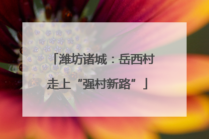 潍坊诸城：岳西村走上“强村新路”
