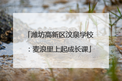 潍坊高新区汶泉学校：麦浪里上起成长课