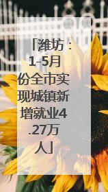潍坊：1-5月份全市实现城镇新增就业4.27万人