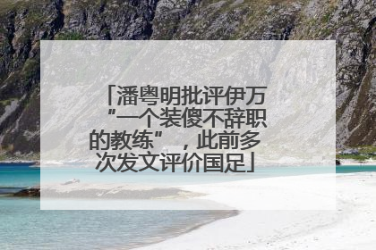 潘粤明批评伊万“一个装傻不辞职的教练”，此前多次发文评价国足