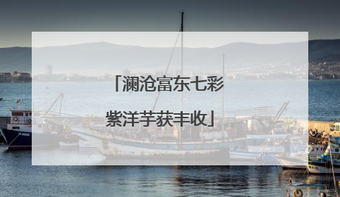 澜沧富东七彩紫洋芋获丰收