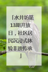 水井坊第13期开放日，社区居民沉浸式体验非遗传承