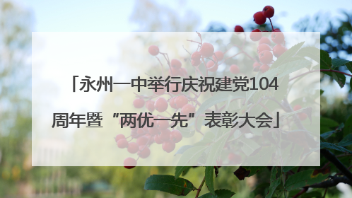 永州一中举行庆祝建党104周年暨“两优一先”表彰大会