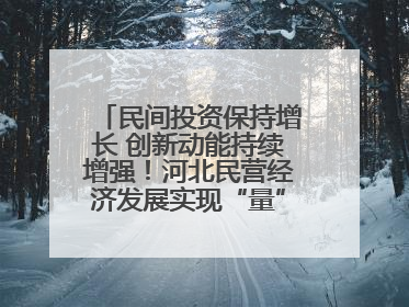 民间投资保持增长 创新动能持续增强！河北民营经济发展实现“量”“质”双提升