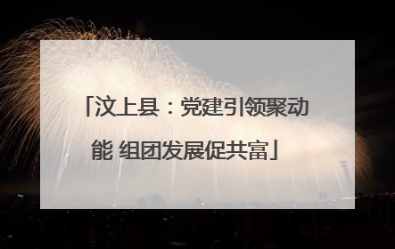 汶上县：党建引领聚动能 组团发展促共富