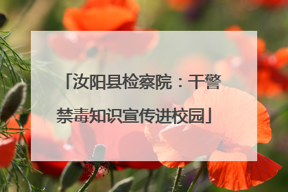 汝阳县检察院：干警禁毒知识宣传进校园