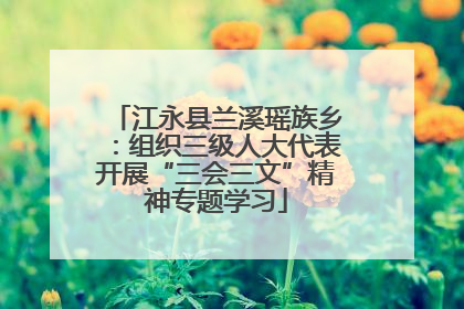 江永县兰溪瑶族乡：组织三级人大代表开展“三会三文”精神专题学习