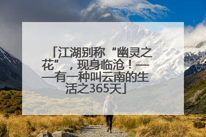 江湖别称“幽灵之花”，现身临沧！——有一种叫云南的生活之365天