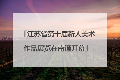 江苏省第十届新人美术作品展览在南通开幕