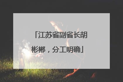 江苏省副省长胡彬郴，分工明确