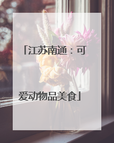 江苏南通：可爱动物品美食