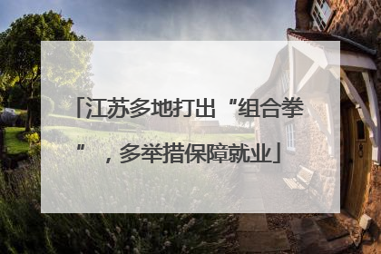 江苏多地打出“组合拳”，多举措保障就业