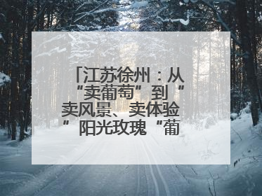 江苏徐州：从“卖葡萄”到“卖风景、卖体验”阳光玫瑰“葡”就致富路