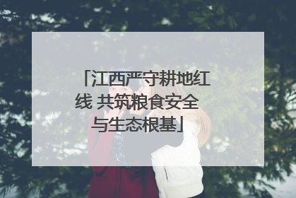 江西严守耕地红线 共筑粮食安全与生态根基