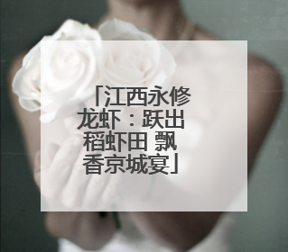 江西永修龙虾：跃出稻虾田 飘香京城宴