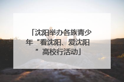 沈阳举办各族青少年“看沈阳、爱沈阳”高校行活动