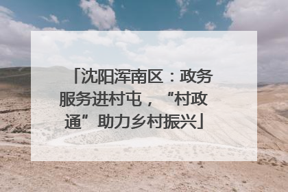 沈阳浑南区：政务服务进村屯，“村政通”助力乡村振兴
