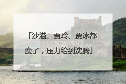 沙溢、贾玲、贾冰都瘦了，压力给到沈腾