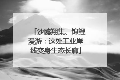 沙鸥翔集、锦鲤漫游：这处工业岸线变身生态长廊