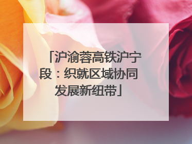 沪渝蓉高铁沪宁段：织就区域协同发展新纽带
