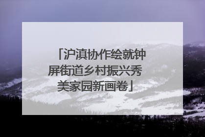 沪滇协作绘就钟屏街道乡村振兴秀美家园新画卷