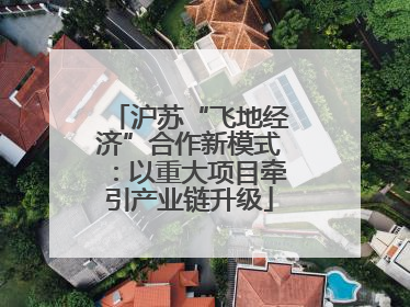 沪苏“飞地经济”合作新模式：以重大项目牵引产业链升级