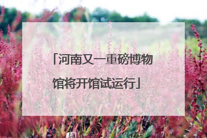 河南又一重磅博物馆将开馆试运行