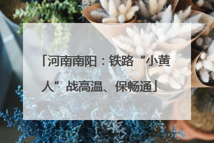 河南南阳：铁路“小黄人”战高温、保畅通