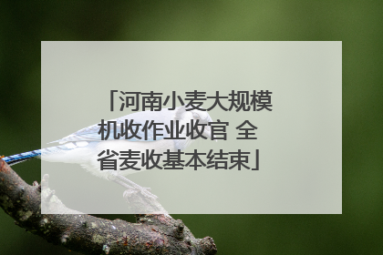河南小麦大规模机收作业收官 全省麦收基本结束