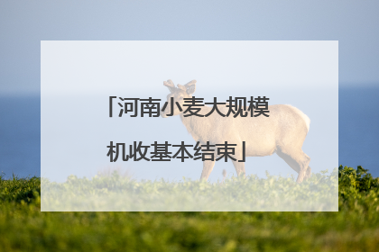 河南小麦大规模机收基本结束