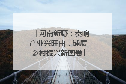 河南新野：奏响产业兴旺曲，铺展乡村振兴新画卷