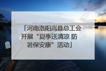 河南洛阳嵩县总工会开展“夏季送清凉 防暑保安康”活动