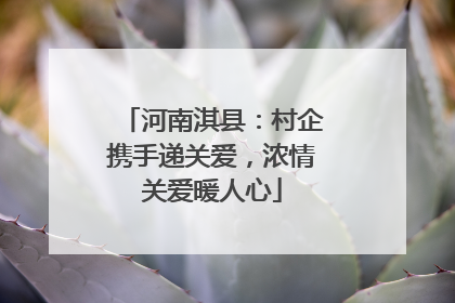 河南淇县：村企携手递关爱，浓情关爱暖人心