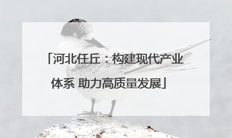 河北任丘：构建现代产业体系 助力高质量发展