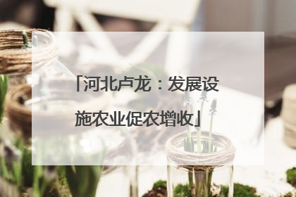 河北卢龙：发展设施农业促农增收