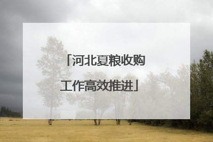 河北夏粮收购工作高效推进